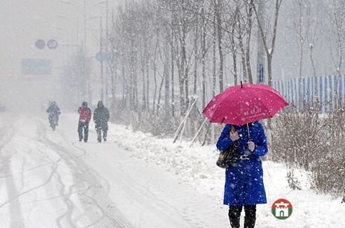 山东24日迎中雪局部大雪 莒县菏泽暴雪 高速临时封闭