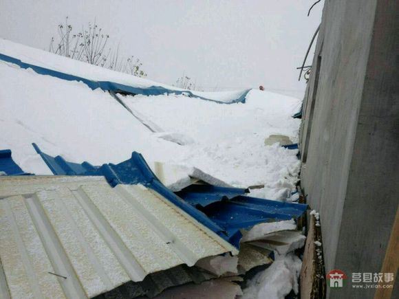山东省日照市莒县某大型标准化养鸭场遭遇雪灾 山东省日照市莒县某大型标准化养鸭场遭遇雪灾