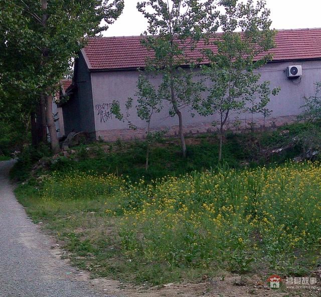 从小乡村看大中国——莒县前云村