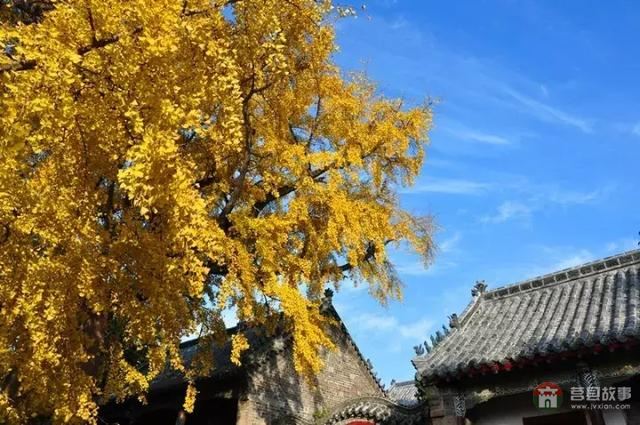 再过几天,莒县这个地方要火……先睹为快!