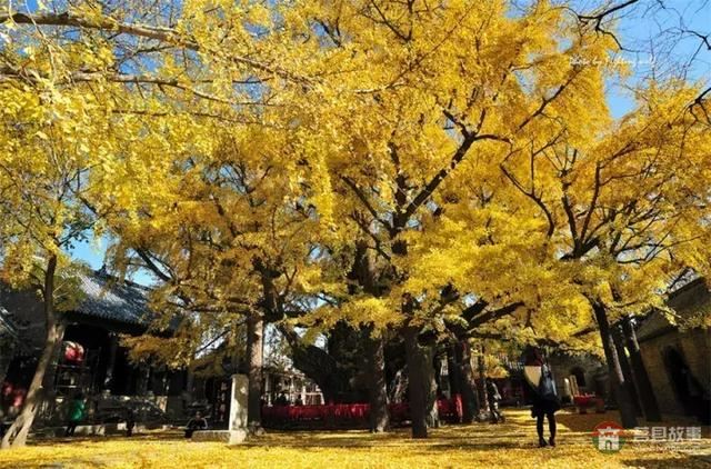 再过几天,莒县这个地方要火……先睹为快!