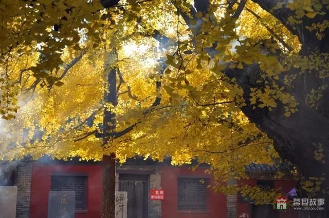 再过几天,莒县这个地方要火……先睹为快!