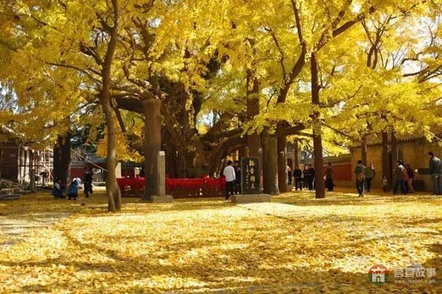 再过几天,莒县这个地方要火……先睹为快!
