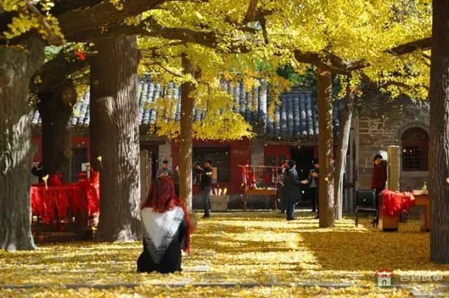 再过几天,莒县这个地方要火……先睹为快!
