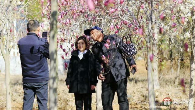 莒县第三届玉兰花节暨桑园镇乡村旅游节开幕