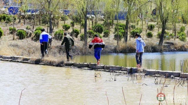 莒县第三届玉兰花节暨桑园镇乡村旅游节开幕