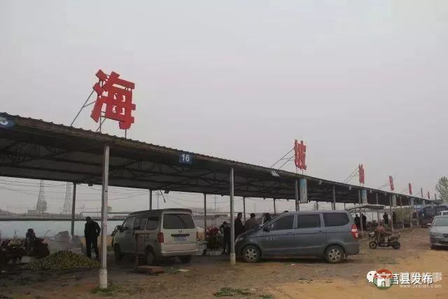 刚刚上市!莒县这里好大一个“小油桃”,一年能卖3个亿