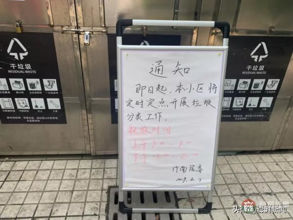 “逼疯”上海人的垃圾分类背后,藏着中国人不知道的残忍真相