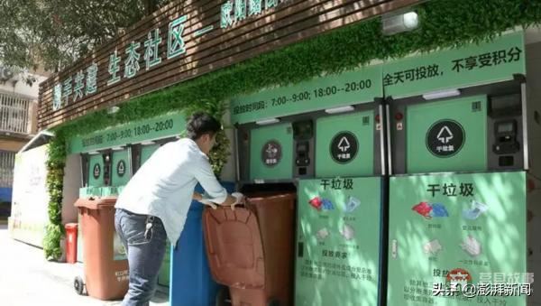 “逼疯”上海人的垃圾分类背后,藏着中国人不知道的残忍真相