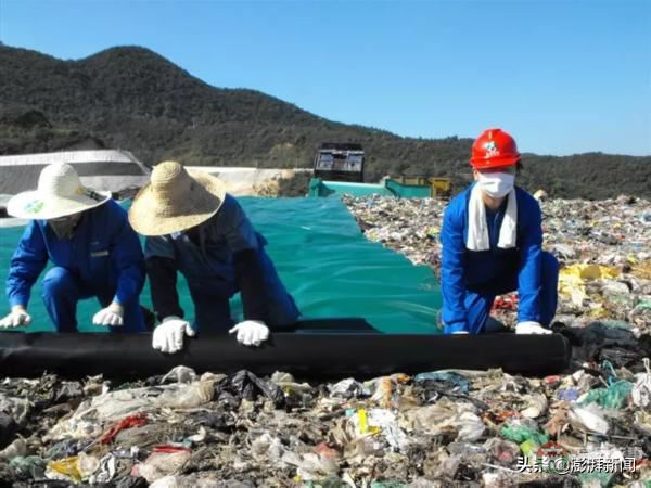 “逼疯”上海人的垃圾分类背后,藏着中国人不知道的残忍真相