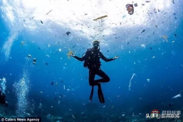 “逼疯”上海人的垃圾分类背后,藏着中国人不知道的残忍真相