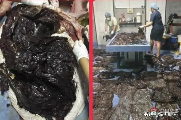 “逼疯”上海人的垃圾分类背后,藏着中国人不知道的残忍真相