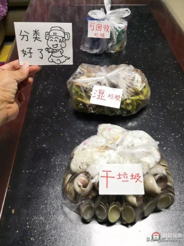 “逼疯”上海人的垃圾分类背后,藏着中国人不知道的残忍真相