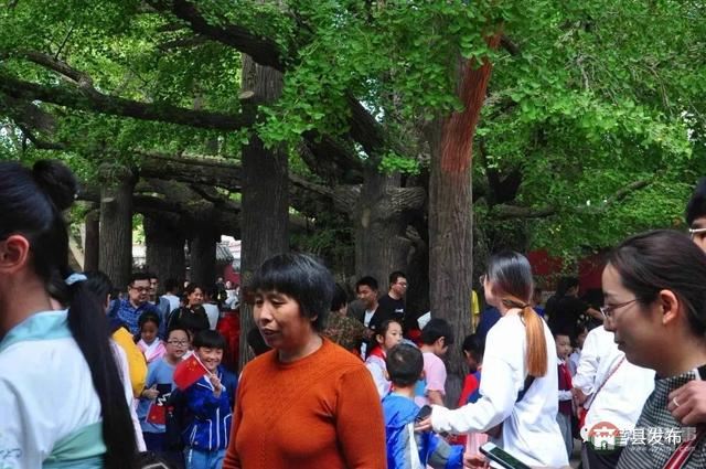 国庆假期莒县最新“旅行情报图”,为你泄密哪里“人从众”