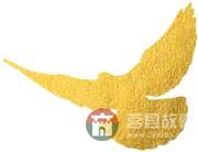 国庆假期莒县最新“旅行情报图”,为你泄密哪里“人从众”