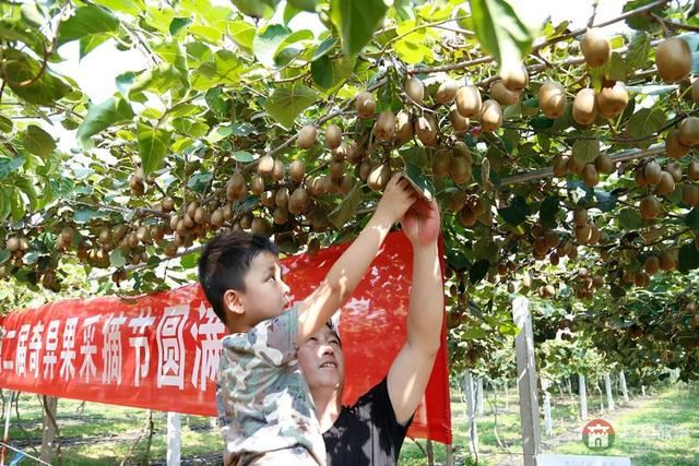 国庆假期莒县最新“旅行情报图”,为你泄密哪里“人从众”