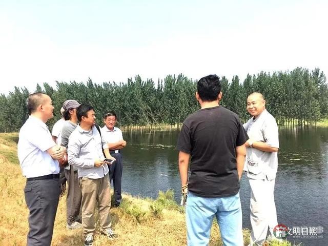 农家墙上“凤凰飞”,莒县惊现一“网红村”