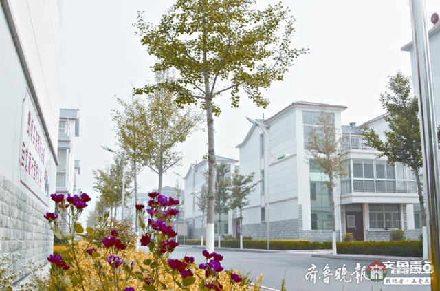日照莒县陵阳街道:跑出高质量发展“加速度”