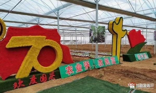 总投资1.2亿元!莒县这个“后花园”2020年上半年开门纳客